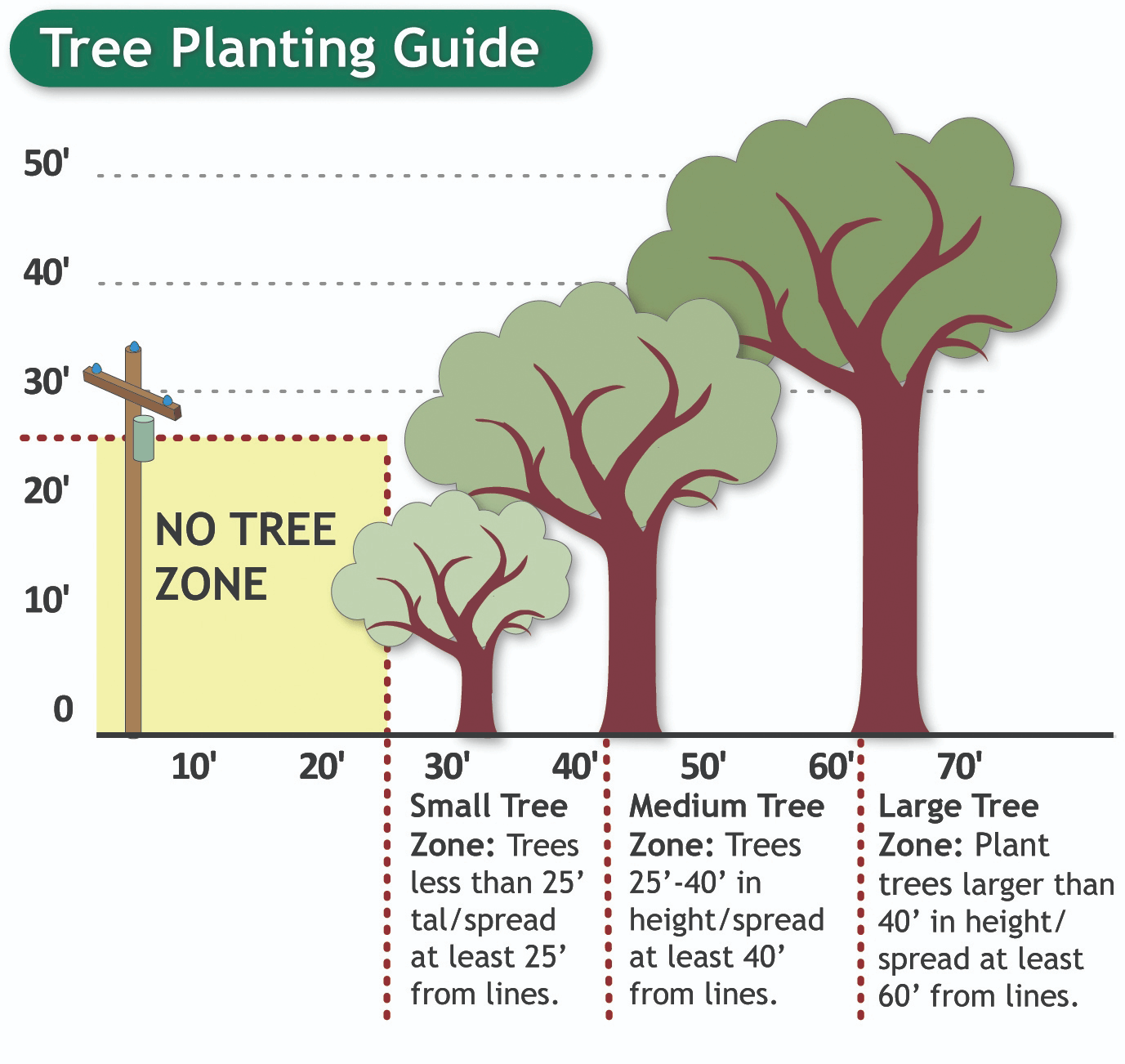 Tree Image